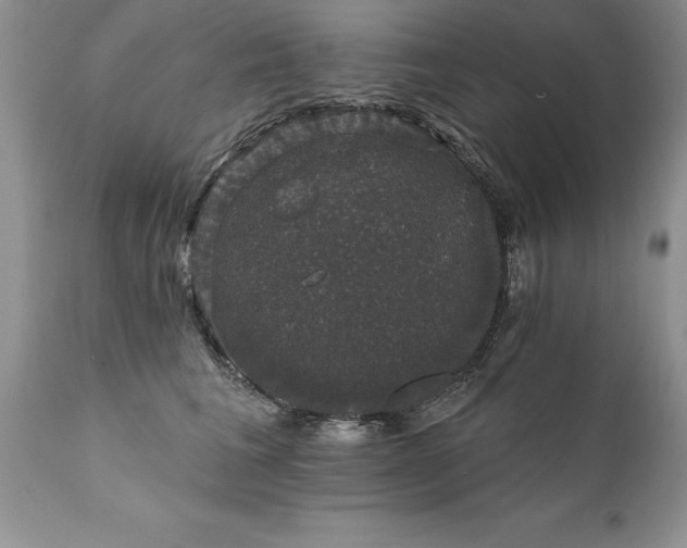 X0000111800613200907301211