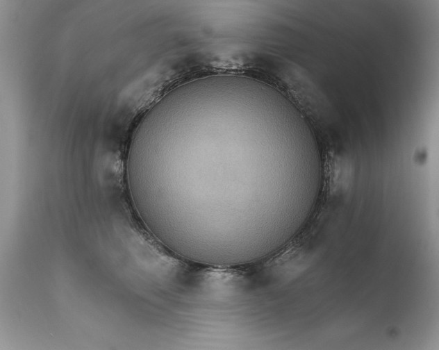 X0000111800614200907301211