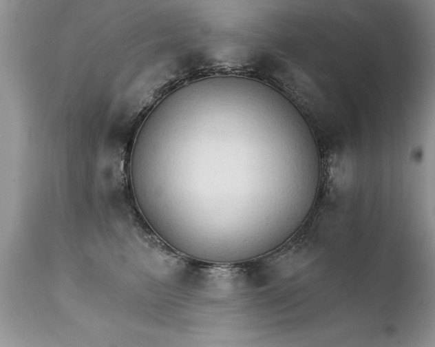 X0000111800615200907301211