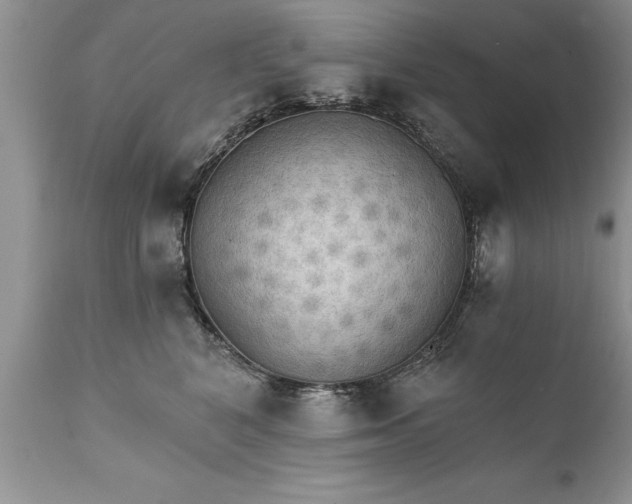 X0000111800616200907301211