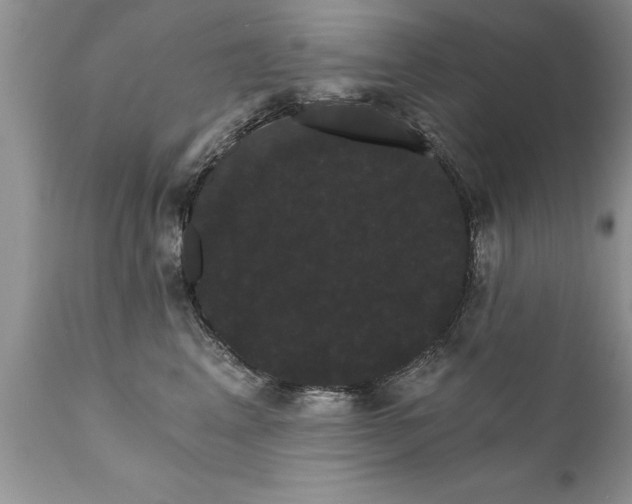 X0000111800617200907301211