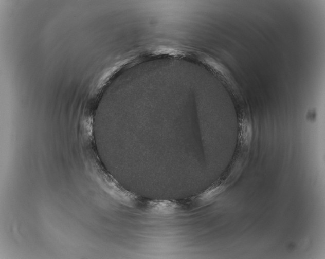 X0000111800621200907301211