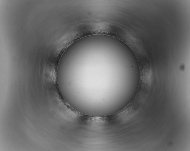 X0000111800622200907301211
