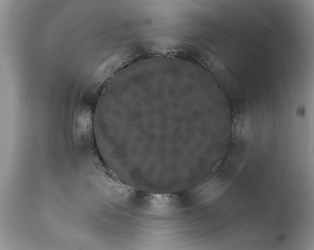 X0000111800623200907301211