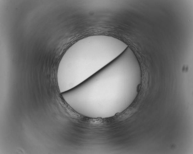 X0000111800624200907301211