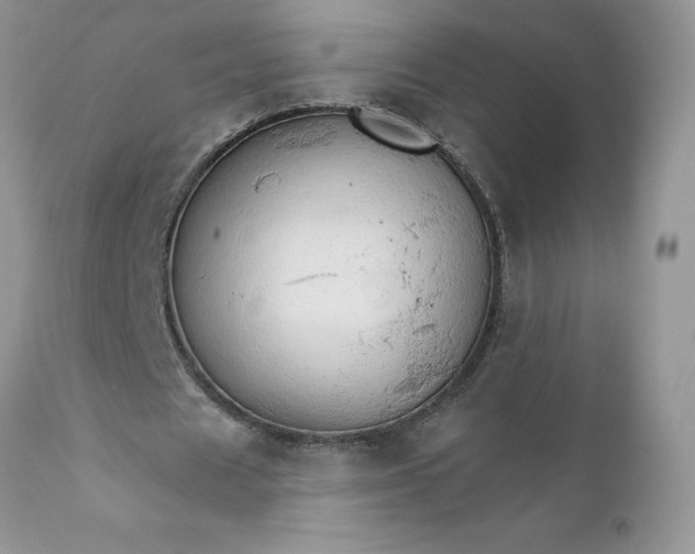 X0000111800625200907301210