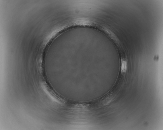 X0000111800627200907301210