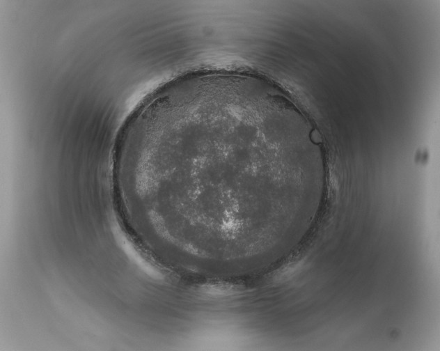 X0000111800630200907301210