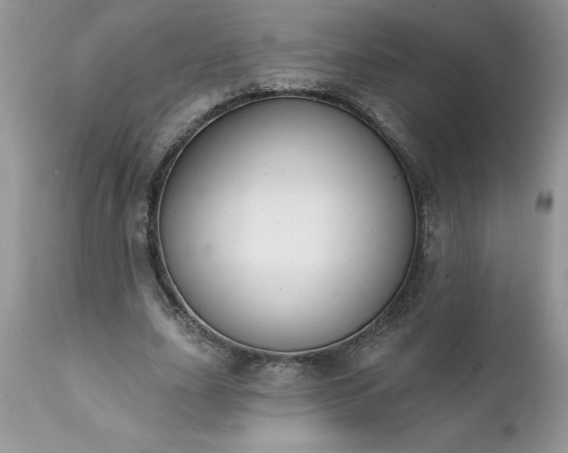 X0000111800631200907301210