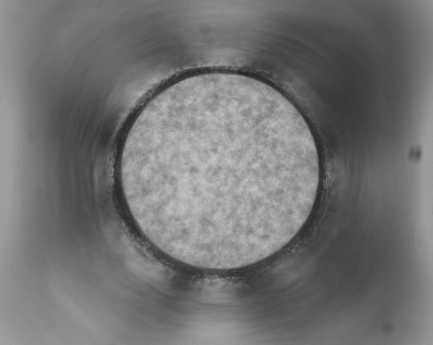 X0000111800632200907301210