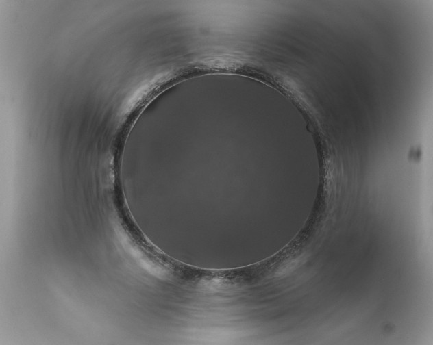 X0000111800634200907301210