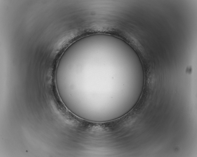 X0000111800635200907301210