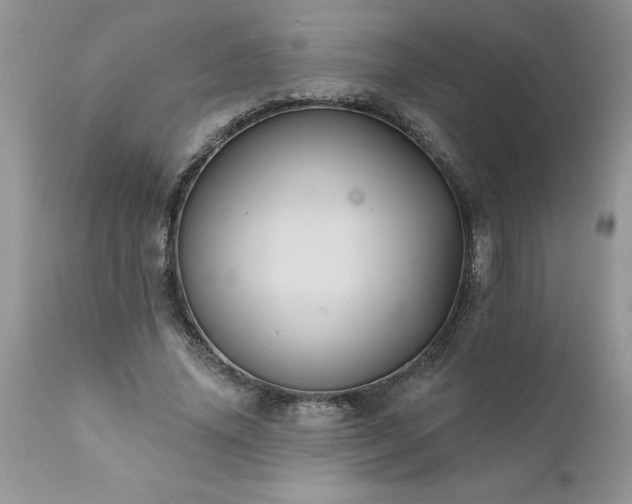 X0000111800636200907301210
