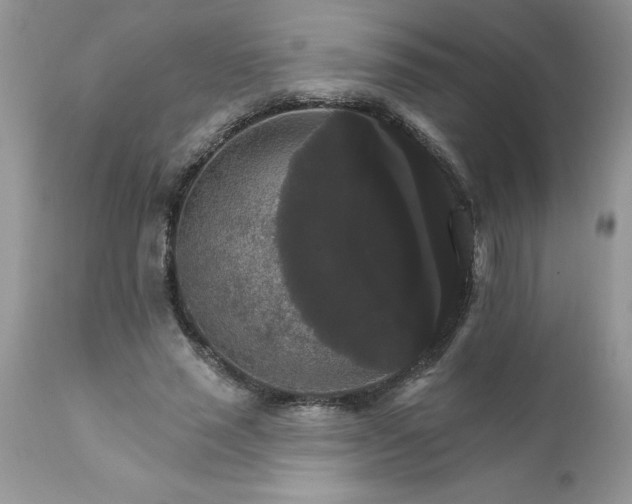 X0000111800637200907301210