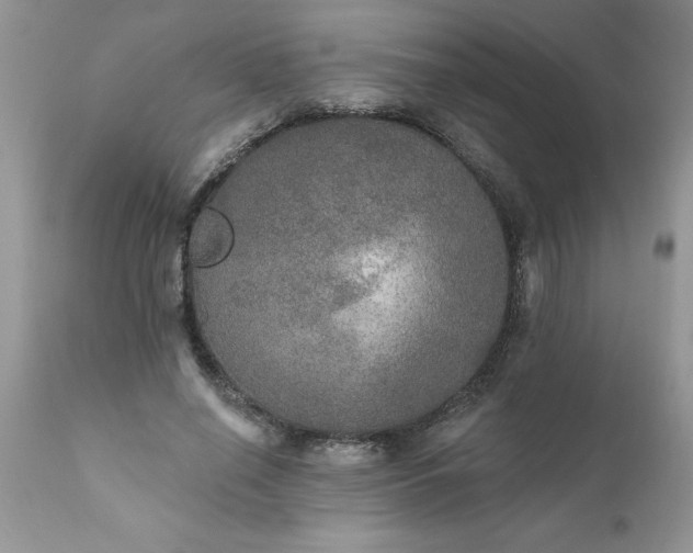 X0000111800638200907301210