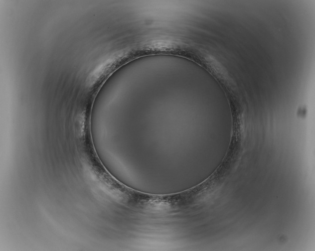 X0000111800640200907301210