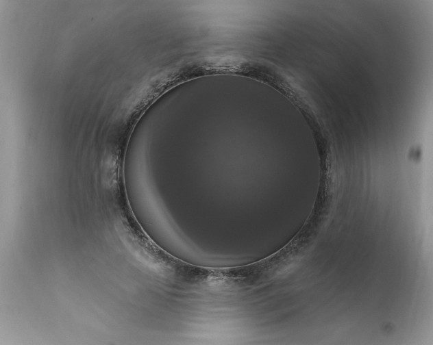 X0000111800641200907301210