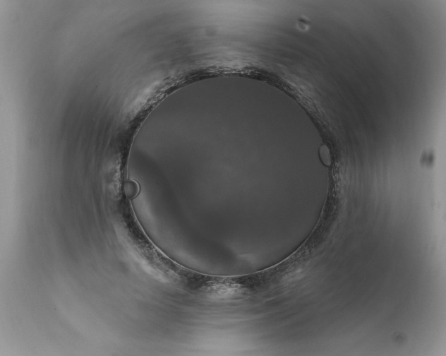 X0000111800642200907301210