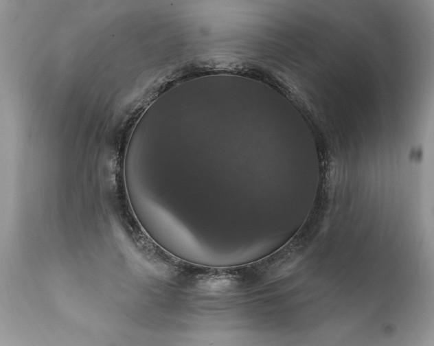 X0000111800643200907301210