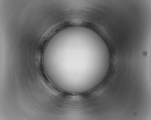 X0000111800645200907301210