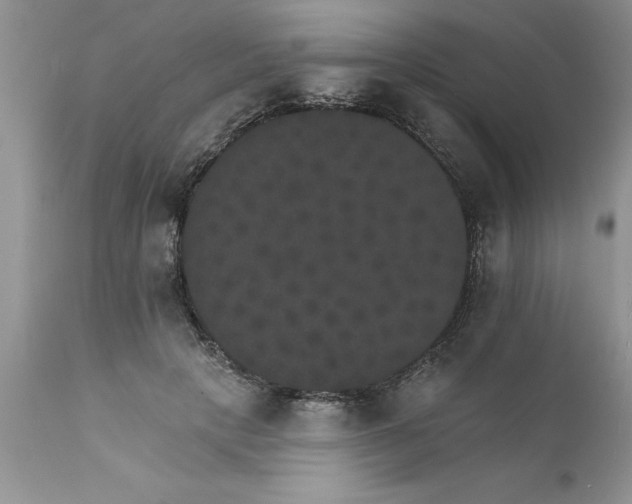 X0000111800649200907301210
