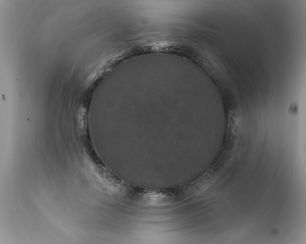 X0000111800650200907301210
