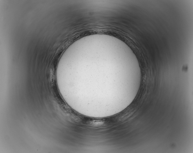X0000111800651200907301210