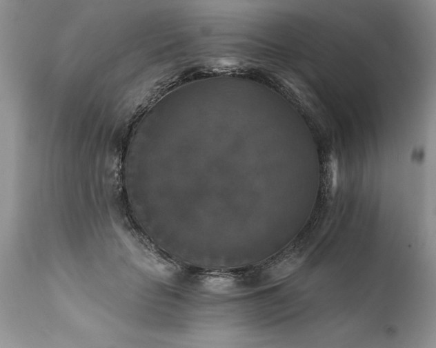 X0000111800653200907301210