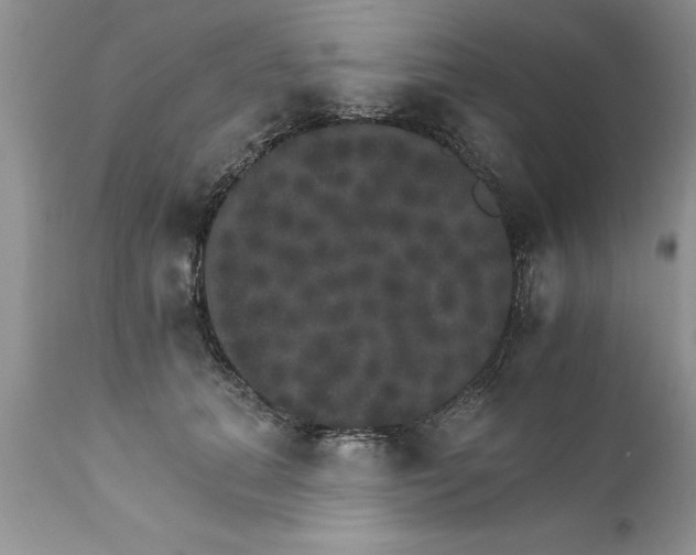 X0000111800655200907301211