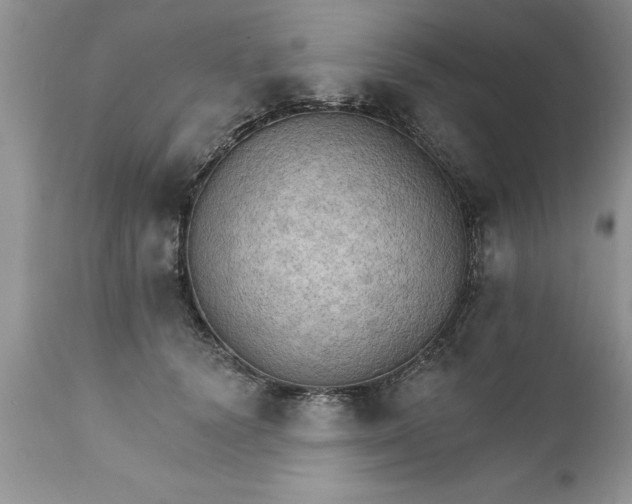 X0000111800656200907301211