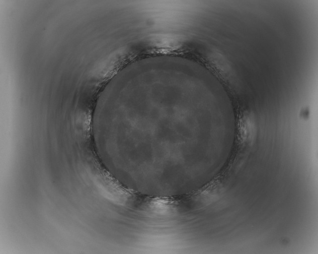 X0000111800657200907301211