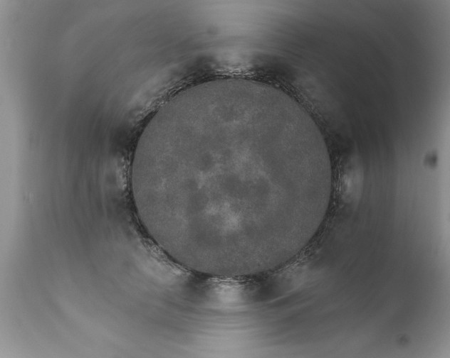 X0000111800658200907301211