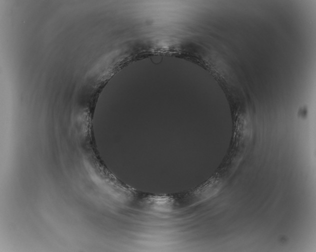 X0000111800659200907301211