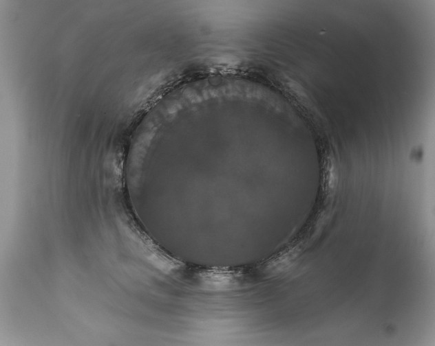 X0000111800661200907301211