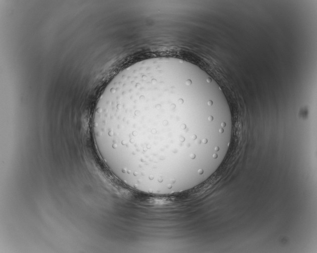 X0000111800662200907301211