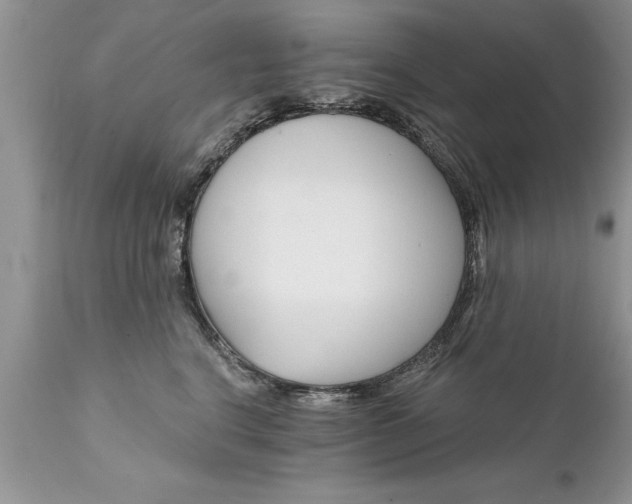 X0000111800664200907301211