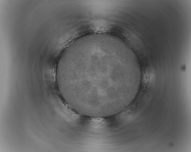 X0000111800666200907301211