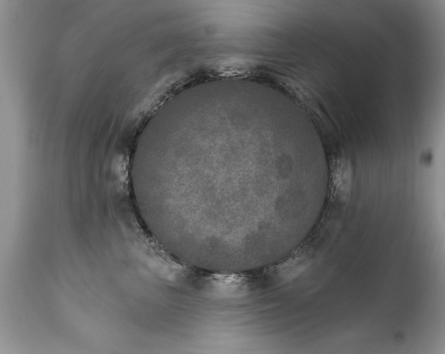 X0000111800667200907301211