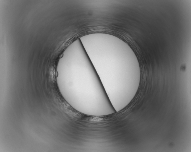 X0000111800669200907301211