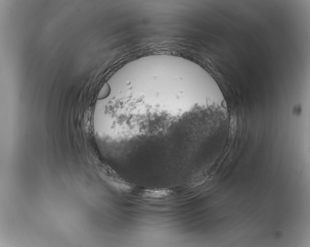 X0000111800671200907301211