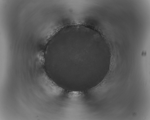 X0000111800672200907301211
