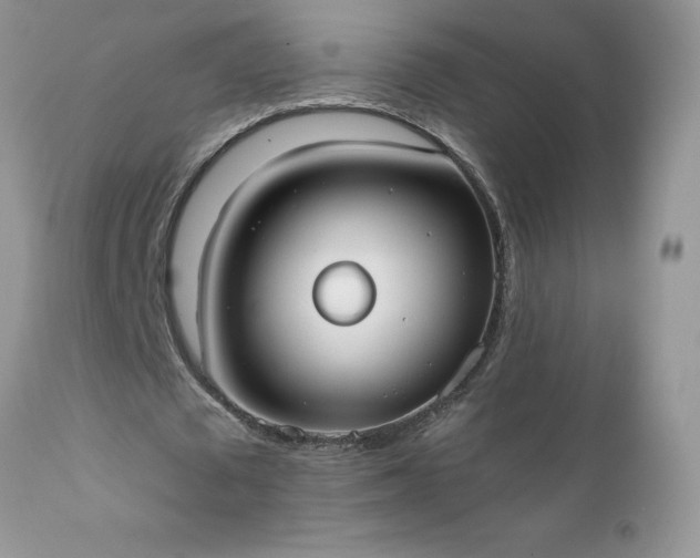 X0000111800673200907301210