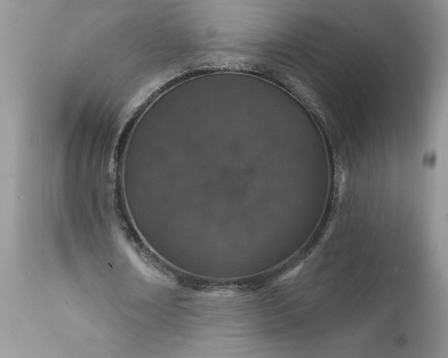 X0000111800674200907301210
