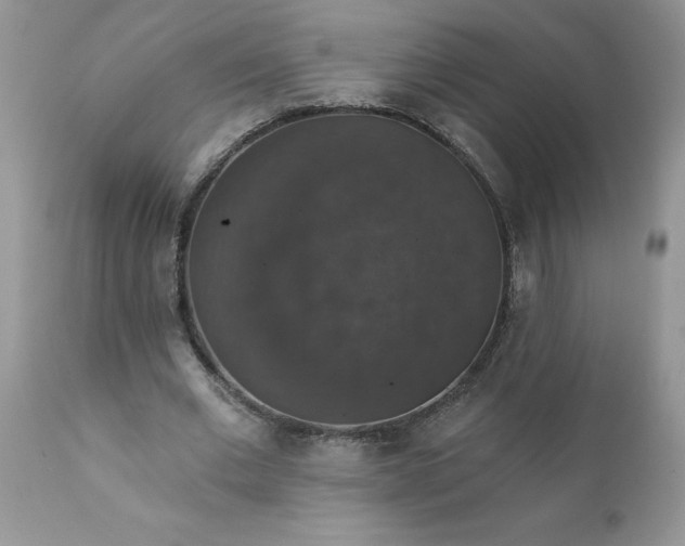 X0000111800677200907301210