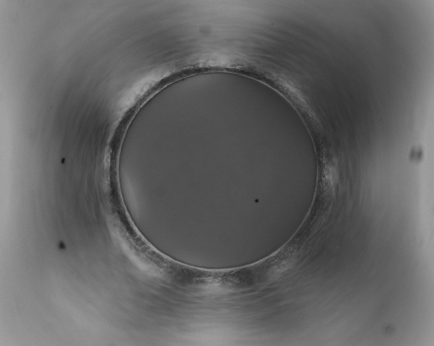 X0000111800678200907301210
