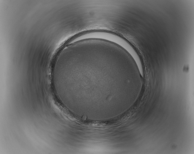 X0000111800680200907301210