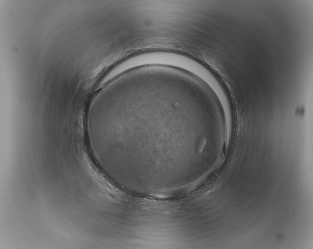 X0000111800681200907301210
