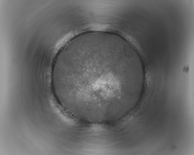 X0000111800682200907301210