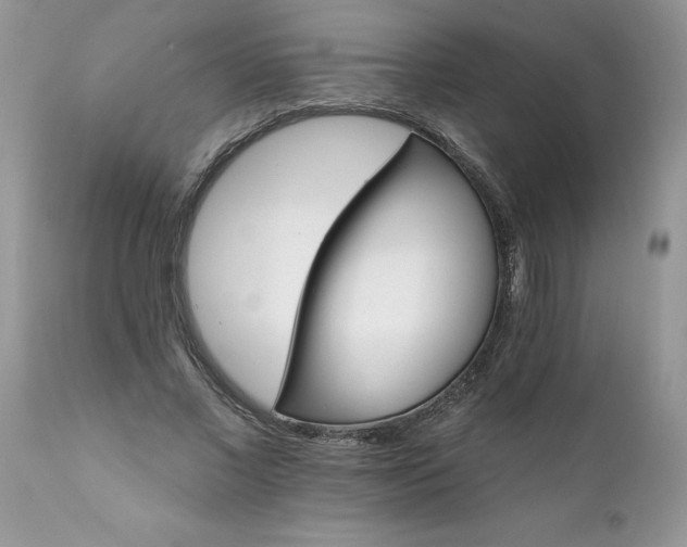 X0000111800685200907301210