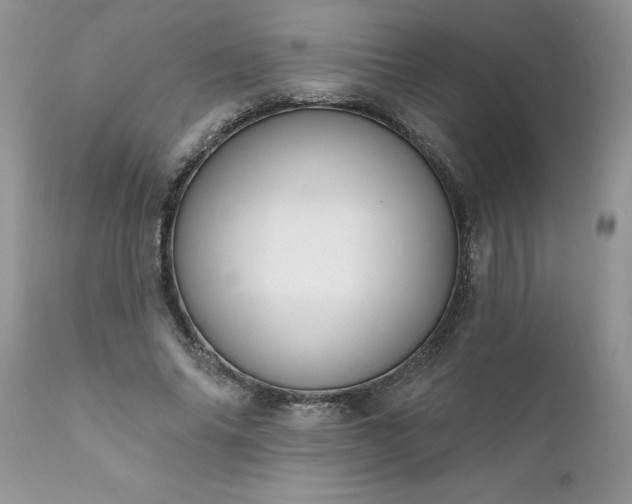 X0000111800686200907301210
